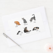 Sticker Rectangulaire Commandes Cat (Enveloppe)