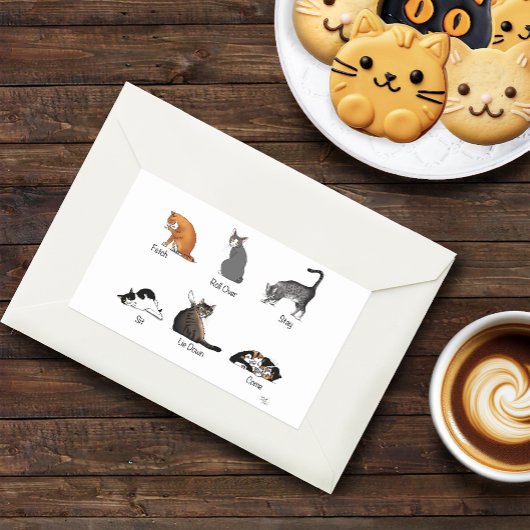 Sticker Rectangulaire Commandes Cat
