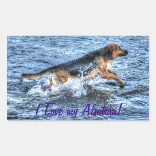 Sticker Rectangulaire Conception de chiens pour les amateurs de moules (Devant)