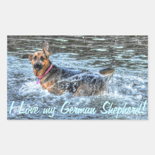 Sticker Rectangulaire Conception de chiens pour les amateurs de moules