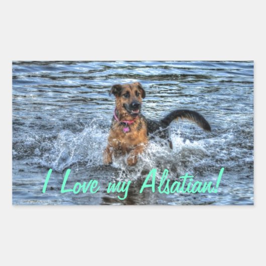 Sticker Rectangulaire Conception de chiens pour les amateurs de moules (Devant)