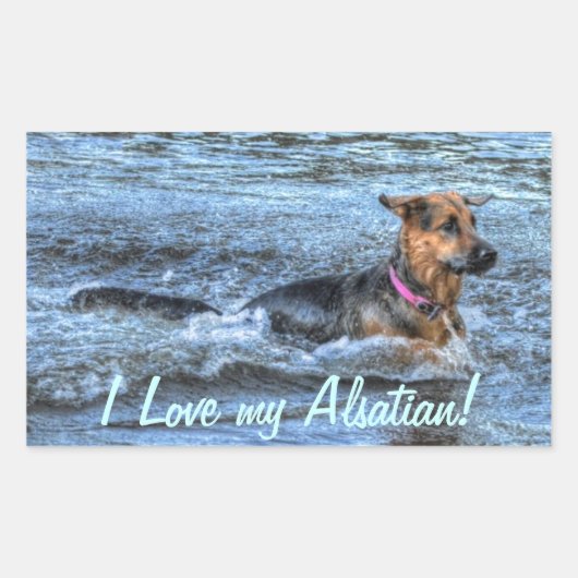 Sticker Rectangulaire Conception de chiens pour les amateurs de moules (Devant)