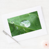 Sticker Rectangulaire Conception de conservation de l'eau de la feuille (Enveloppe)