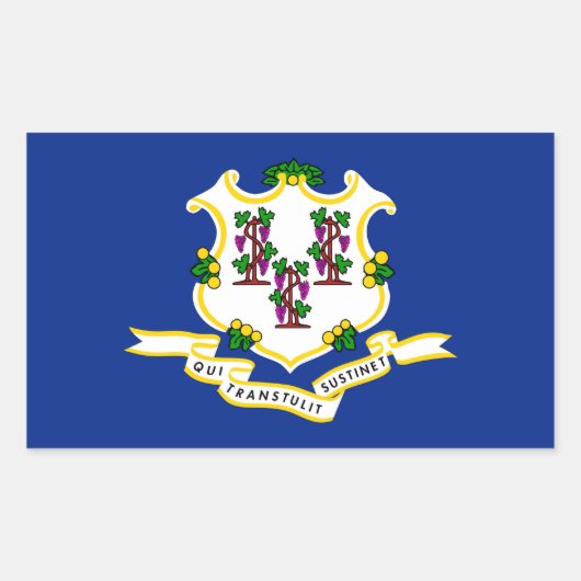 Sticker Rectangulaire Conception de l'indicateur d'état Connecticut (Devant)