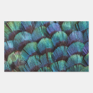 Sticker Rectangulaire Conception de plume de faisan bleu-vert