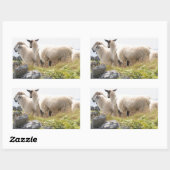 Sticker Rectangulaire Conception risquée - Moutons dans un champ (Feuille)