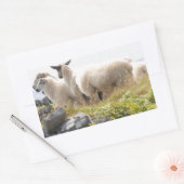 Sticker Rectangulaire Conception risquée - Moutons dans un champ (Enveloppe)