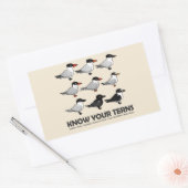 Sticker Rectangulaire Connaissez Vos Ternes (Enveloppe)