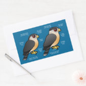 Sticker Rectangulaire Coop v Sharpie (Enveloppe)