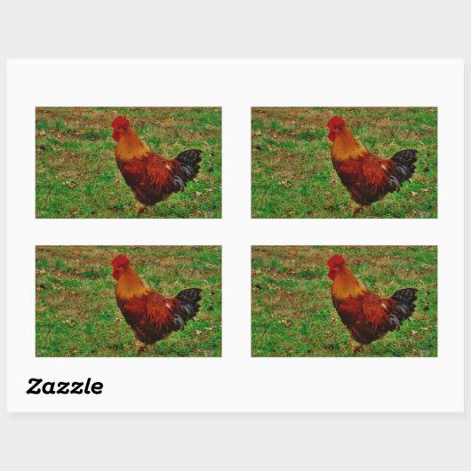 Sticker Rectangulaire Coq dans le triage (Feuille)