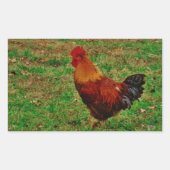 Sticker Rectangulaire Coq dans le triage (Devant)