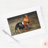 Sticker Rectangulaire Coq/Gaulois/Rooster (Enveloppe)