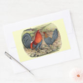 Sticker Rectangulaire Coqs américains bleus rouges (Enveloppe)