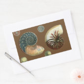 Sticker Rectangulaire Coque de cacao (Enveloppe)