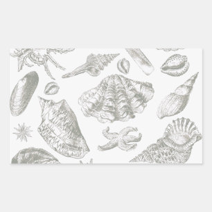 Sticker Rectangulaire Coquillage Esquisse Antique Gris Sauge Doux Nature