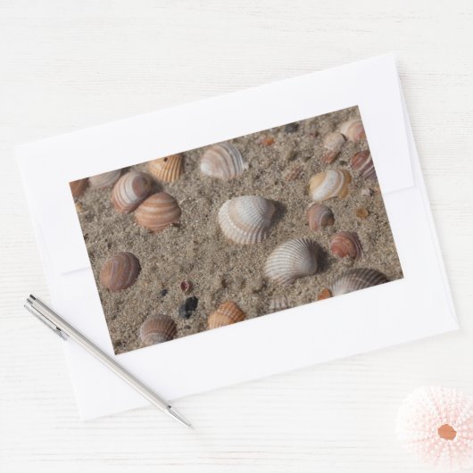 Sticker Rectangulaire Coquillages sur la plage (Enveloppe)