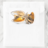 Sticker Rectangulaire Coquille (Sac)