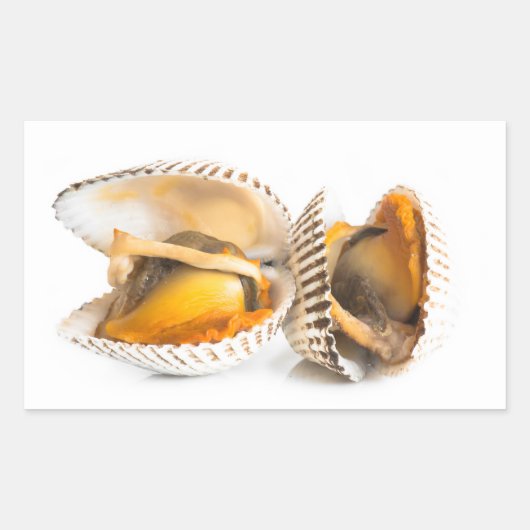 Sticker Rectangulaire Coquille (Devant)
