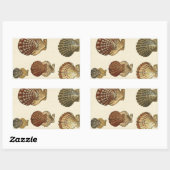 Sticker Rectangulaire Coquilles antiques craquelées (Feuille)