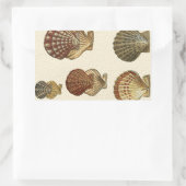 Sticker Rectangulaire Coquilles antiques craquelées (Sac)