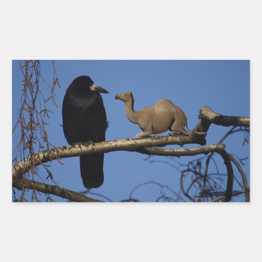 Sticker Rectangulaire Corbeau surpris (Devant)