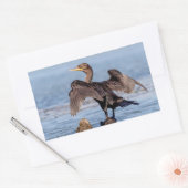 Sticker Rectangulaire Cormorant à aigrettes sur le lac Champlain (Enveloppe)