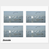 Sticker Rectangulaire Corneille noire et grues blanches : un contraste d (Feuille)