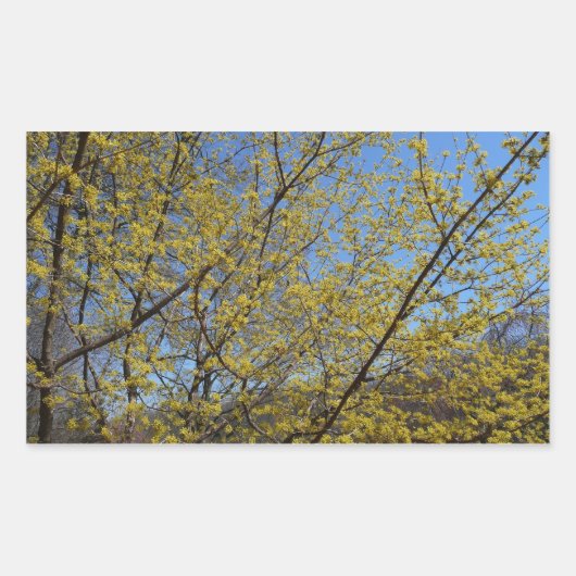 Sticker Rectangulaire Cornelian Cherry (Devant)