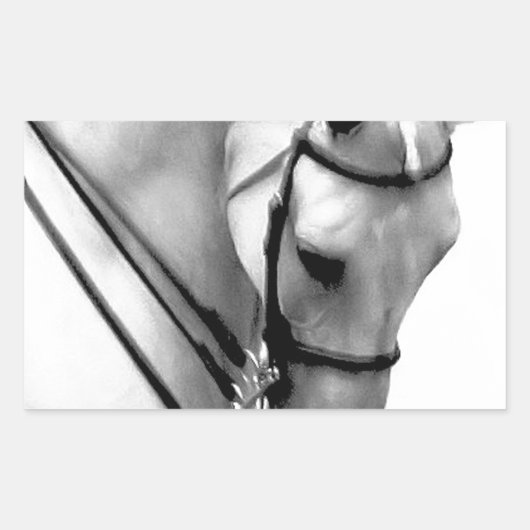 Sticker Rectangulaire Corse blanche de Beautiful (Devant)