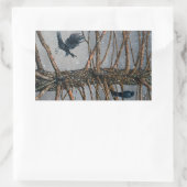 Sticker Rectangulaire Corvus Corvidae et le Cèdre (Sac)