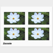 Sticker Rectangulaire Cosmos blancs (Feuille)