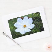 Sticker Rectangulaire Cosmos blancs (Enveloppe)