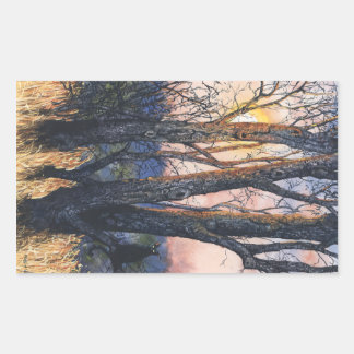 Sticker Rectangulaire Coucher de soleil