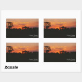 Sticker Rectangulaire Coucher de soleil Acacia (Feuille)