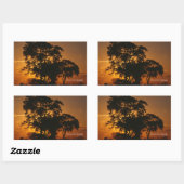 Sticker Rectangulaire Coucher de soleil de Savannah (Feuille)