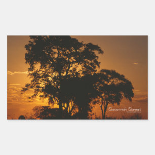 Sticker Rectangulaire Coucher de soleil de Savannah