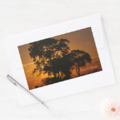 Sticker Rectangulaire Coucher de soleil de Savannah (Enveloppe)