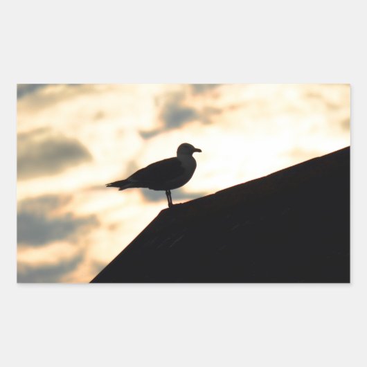 Sticker Rectangulaire Coucher de soleil de Sea Gull (Devant)