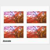 Sticker Rectangulaire Couleur d'automne (Feuille)