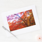 Sticker Rectangulaire Couleur d'automne (Enveloppe)