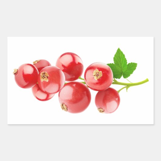 Sticker Rectangulaire Courants rouges (Devant)