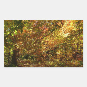 Sticker Rectangulaire Couvert de feuilles d'automne II Photographie d'au