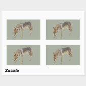 Sticker Rectangulaire Coyote (Feuille)