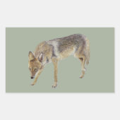 Sticker Rectangulaire Coyote (Devant)