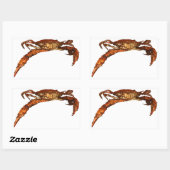 Sticker Rectangulaire Crabe bleu du Maryland (Feuille)