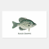 Sticker Rectangulaire Crappie noire (Devant)
