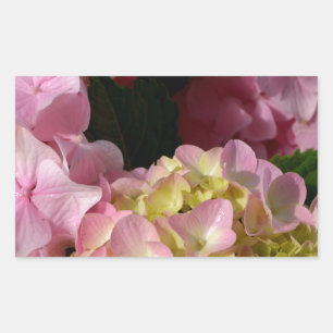 Sticker Rectangulaire Crème rose Hydrangeas jaune rose vert floral