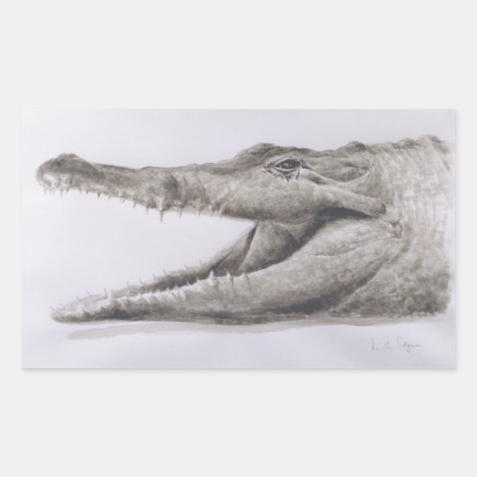 Sticker Rectangulaire Crocodile 2005 (Devant)