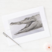 Sticker Rectangulaire Crocodile 2005 (Enveloppe)