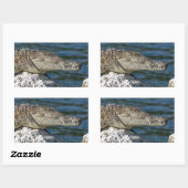 Sticker Rectangulaire Crocodile américain (Feuille)